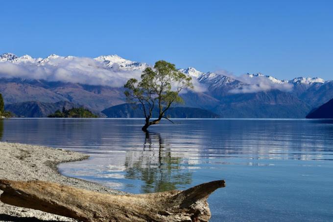 The Rest Nest Lägenhet Wanaka Exteriör bild